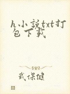 h小说txt打包下载