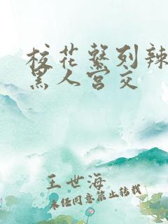 校花系列辣h文黑人宫交