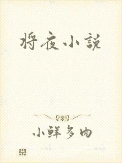 将夜小说