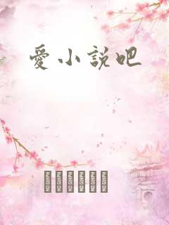 爱小说吧