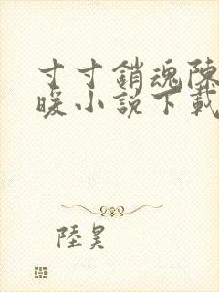 寸寸销魂陈聪王暖小说下载