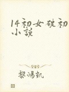 14初女破初的小说