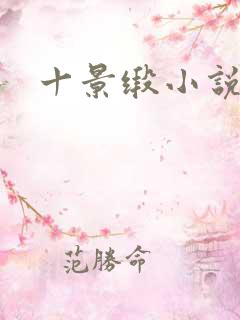 十景缎小说
