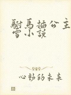 驸马插公主恋战雪小说