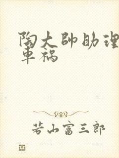 陶大帅助理子豪车祸