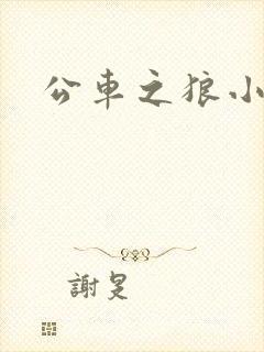 公车之狼小说