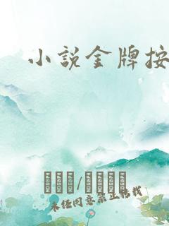 小说金牌按摩师