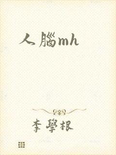 人脑mh