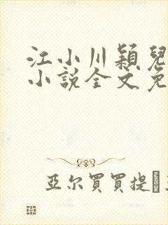 江小川颖儿穿越小说全文免费阅读