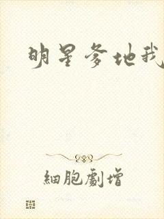 明星爹地我不认