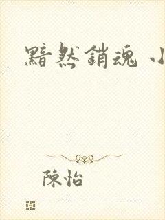 黯然销魂 小说