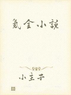 氪金小说