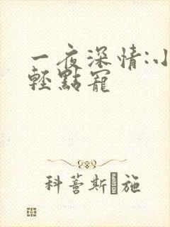 一夜深情:小叔轻点宠