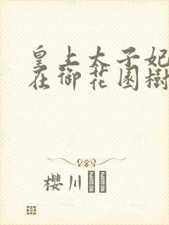 皇上太子妃沈音在御花园树上