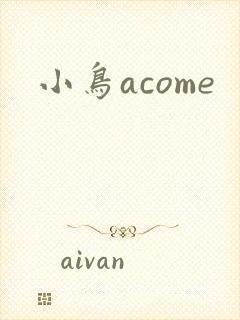小鸟acome