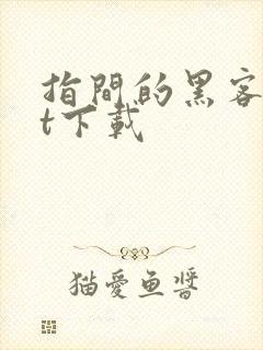 指间的黑客txt下载