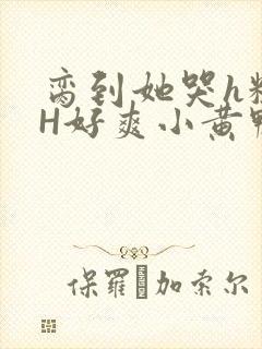 脔到她哭h粗话H好爽小黄鸭视频