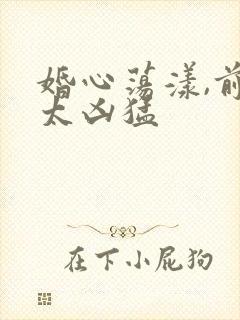 婚心荡漾,前夫太凶猛