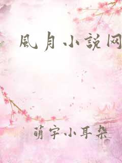 风月小说网