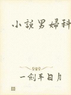 小说男妇科医生