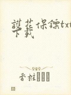 护花保镖txt下载