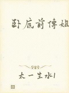 卧底前传姐妹篇