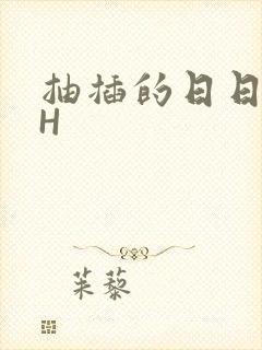 抽插的日日液液H