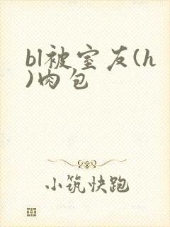 bl被室友(h)肉包