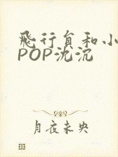 飞行员和小空乘POP沈沉