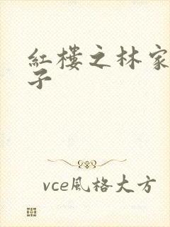 红楼之林家庶长子