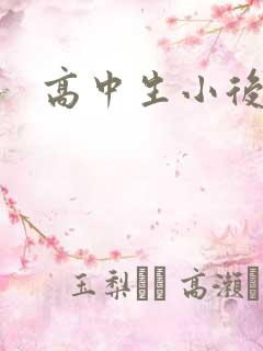 高中生小后妈
