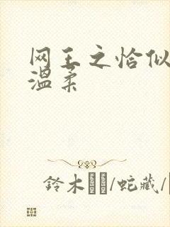 网王之恰似你的温柔