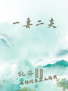 一妻二夫