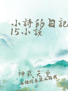 小诗的日记1一15小说
