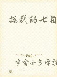 总裁的七日恋人