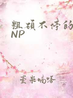 粗硕不停的进出NP