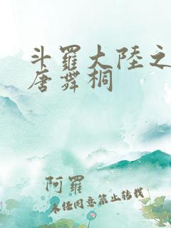 斗罗大陆之肉奴唐舞桐