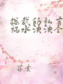 总裁的私有宝贝祸水泱泱全文阅读