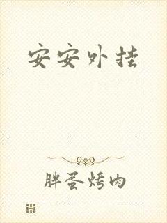 安安外挂