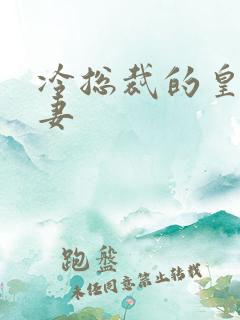 冷总裁的皇后暖妻