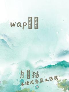 wapС˵