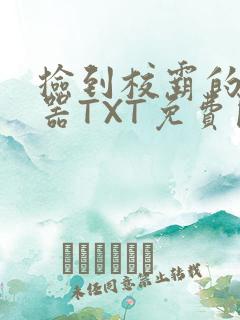 捡到校霸的遥控器TXT免费阅读