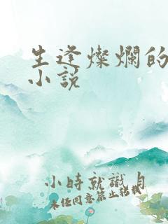 生逢灿烂的日子小说