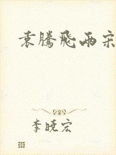 袁腾飞两宋风云