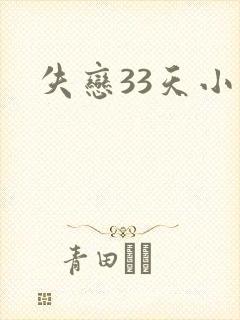 失恋33天小说