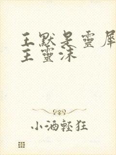 王默是灵犀阁公主灵沫