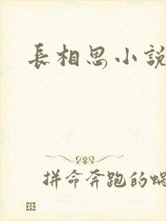 长相思小说原著