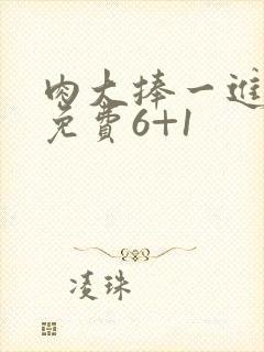 肉大捧一进一出免费6+1