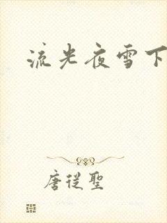 流光夜雪下载