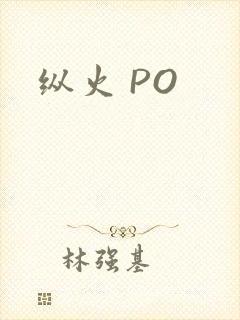 纵火 PO
